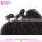 100% Virgin Brazilian Afro Kinky Hair Extensions Grade 7a Brazilian Afro Human Hair