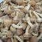 Grade A Chinese nameko mushroom spawn for sale
