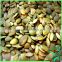Best Quality White Pumpkin Seeds Kernel In China Grade A
