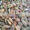 shine skin pumpkin seeds kernels from Inner Mongolia