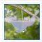 New Shape Reflective Guard Owl PK 2 ,bird repellent ,owl reflector, scare owl