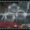 Stainless Steel Wire Protecting Screen Mesh Expanded Metal Mesh