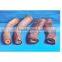 Buffalo Horn Solid Tips