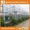 Heracles Trade Assurance Glass Greenhouse Equipments