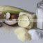 Maltodextrin