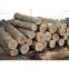 Oak Logs for sale