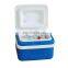 Wholesale Outdoor Camping Mini Plastic 5L medical cooler box