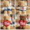 Hug teddy bear Hugging Lovers bear