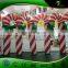 Custom Interesting Inflatable Advertising Model, Sugar Cane/ Plastic Candy Cane for Sale