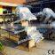 SS304 Chicken Feet Cutting Machine with Compact Structure