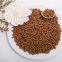 Fish Feed Extruder -- Visit From Singapore Customers