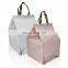 Whole Sale Foods Non Woven Small Cooler Bag with Customized Logo