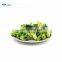 Sinocharm Crisp Sweet Fresh Non Worm Frozen Broccoli With ISO Certificate IQF Broccoli