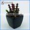 Mini artificial cactus plant with pot for indoor decoration