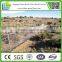 PVC coating security football site Chainmesh fence