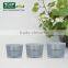 15g 30g 50g Crystal Blue Plastic Screw Cap Jar for Cosmetic Cream Bottle