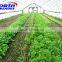 Multi-Span Agricultural Plastic Price Greenhouses Growing Vegetable