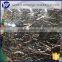 gold coral marble business building black floor tiles,stair slate