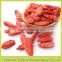 Ningxia barbary wolfberry fruit wholesale