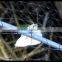 plastic BOP netting as Fruit cage/Anti bird net/Plant protection net