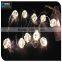CE&Rohs DC 12V Voltage and Christmas Holiday Name string light