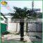 5m fiberglass trunk artificial date palm tree cheap price artificial palm tree