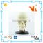 V-HM06 4D MASTER Brain skull brain model