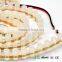 Waterproof IP65 DC12V 5mm F5 DIP led strip