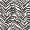 TSAUTOP 0.5M/1M Width Red Zebra Hydrographic Film Water Transfer Film for Sale Film