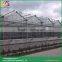 Venlo roof type small greenhouse plans glass greenhouse supplies