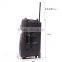15 inch wireless remote portable speaker with bluetooth