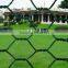 Hot sale ! galvanized & pvc Hex wire mesh ( hexagonal mesh )