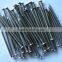 Steel wire nails manufacture in china/common wire nails