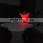 Christmas Decoration Lighted Star