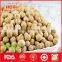 Wholesale Chickpea with great quality and best price