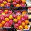 LEMONS / VALENCIA / MODERN & FRESH STYLE