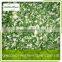 new crop frozen spring onion dice frozen green onion