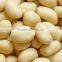 wholesale blanched peanut kernels