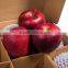 Fresh China apple Fresh huaniu apples Chinese fresh apple factory high quality huaniu apple