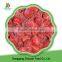 Wholesale Frozen Fruits Iqf Frozen Strawberry