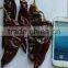 10 -15cm Sweet Dried Red Chili Paprika