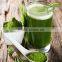 Wheat Juice Green Powder for Sale