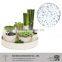 Free Drainage Growing Medium Horticulture Perlite/Vermiculite