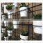 artificial vertical garden media crystal ball