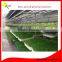 Purling green hydroponic fodder system/hydroponic seeds sprout machine