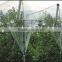 Yemen used plastic bee net/anti hail net for crops,Weave 13 mesh,plastic plate anti mesh net against hail for tree