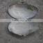 China freshwater shell material raw mother of pearl river shells