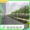 Natural color aluminium profiles greenhouse for agricultural