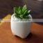 Zakka indoor mini tooth-shaped ceramic white flower pot for succulents