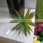 CHY040920 Selling Artificial Plants Succulent tropical Plant Artificial Desert Plants